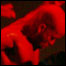 060203_list_dance.jpg