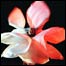 060331_list_sperling.jpg