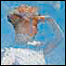060310_list_sp_art.jpg