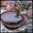 061124_list_BOURGEOIS.jpg