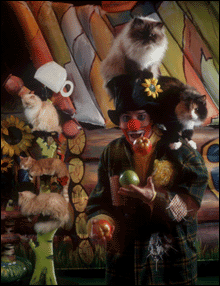 GIVE US PAWS: "Sometimes, they do not feel like performing a trick."