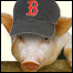 060630_list_sox.jpg