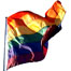 TJI pride list photo 061606