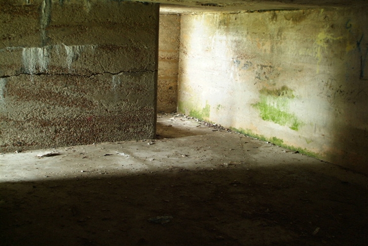 Battery Williams
