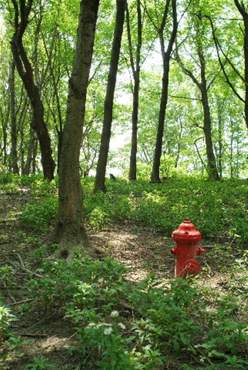 Hydrant