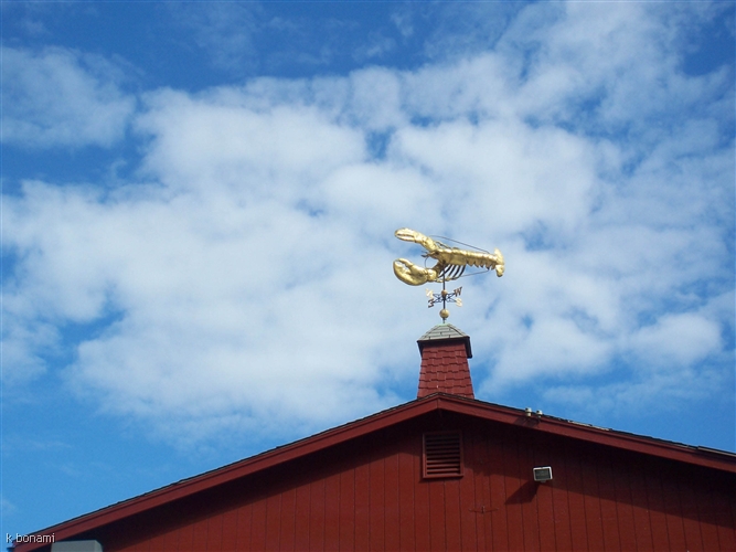 James Hook Lobster Co.