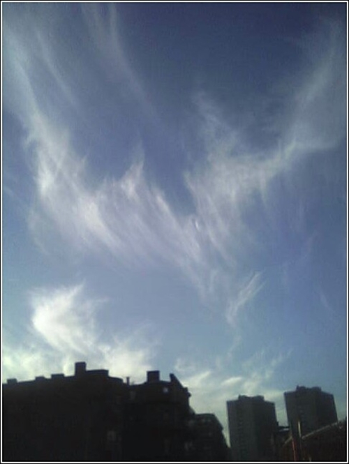 Sky over Audubon Circle