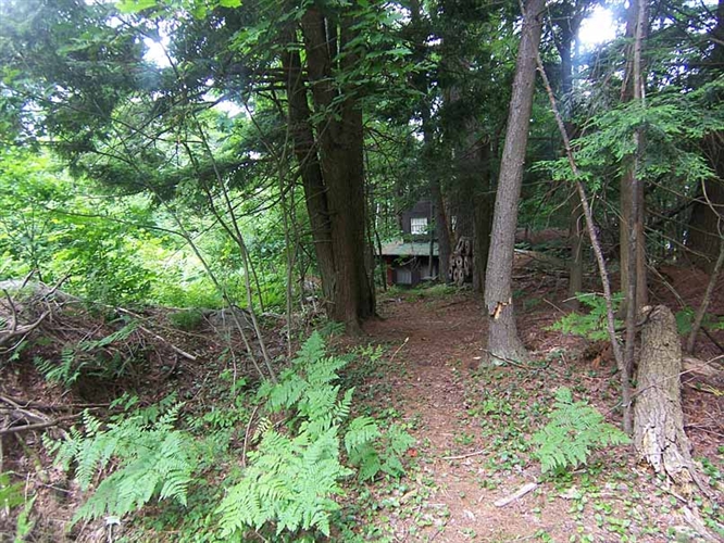 Cabin, Trout Lake, NY