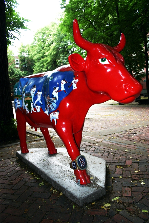 Red Sox Cow