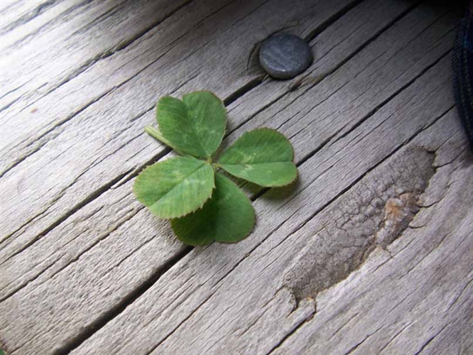 Good Luck!