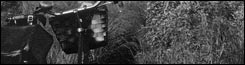 080725_hecht_Slot