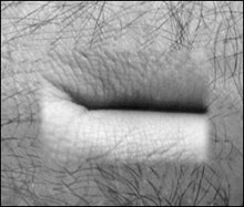 BODY WORK An altered image by Paul Choquette. BODY WORK An altered image by Paul Choquette.