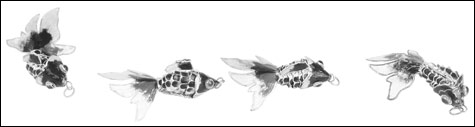 070105_inside_fish