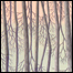 070413_list_art