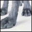 070413_list_dogs