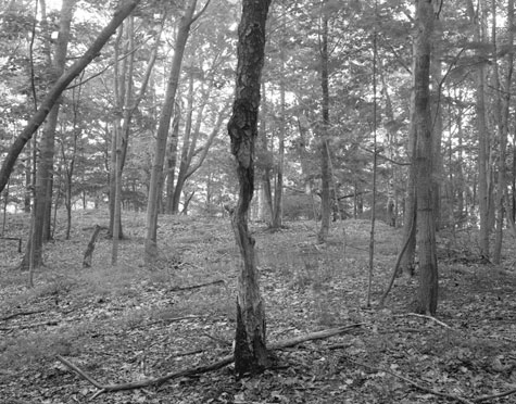 ART032610_CasSpecLocation23