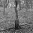 ART032610_Cas_list