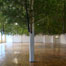 ART043010_Galle_list