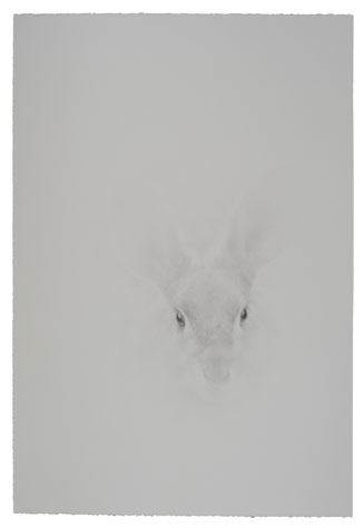 ART050710_rabbit_main