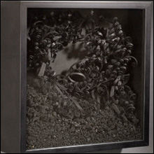 inside_art_fensterstock_thi