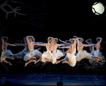 NOT JUST YOUR EVERYDAY SWAN LAKE: Matthew Bourne brings his all-male version to the Colonial. NOT JUST YOUR EVERYDAY SWAN LAKE: Matthew Bourne brings his all-male version to the Colonial.