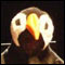 061222_list_onion