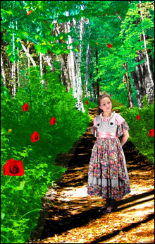 inside_alice inside_alice