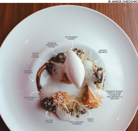 HOTPLATE_ClioDes_main