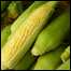 LISTfood_greenhouses7