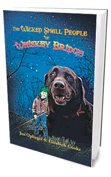 Sidebar_WhiskeyBridgeBook