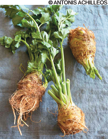 feat_roots_recipe_main