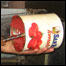 flistood_masala1_092107