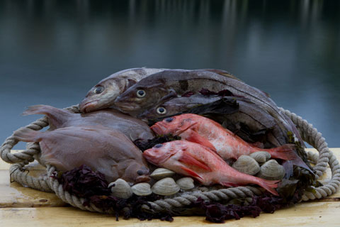 food_Salt+Sea_main food_Salt+Sea_main