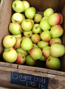 food_apples_main food_apples_main