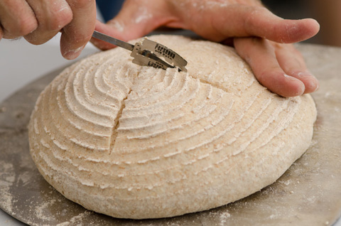 food_baking_2_main_cDebbieHight food_baking_2_main_cDebbieHight