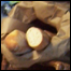 food_baxters2list