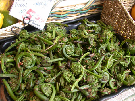 food_fiddleheads_INSIDE food_fiddleheads_INSIDE
