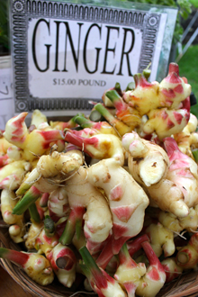 food_ginger_3_main