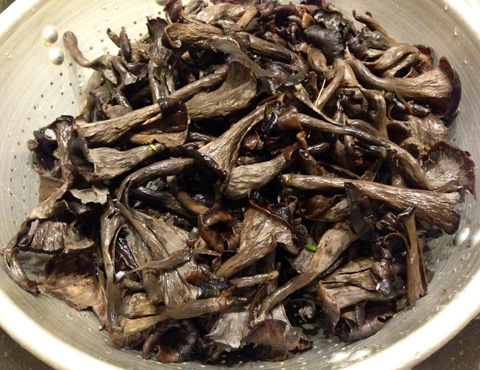 food_mushrooms_main food_mushrooms_main