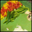 food_pizza2list