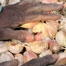 food_seynab-garlic_list2