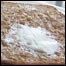 090102_food_list
