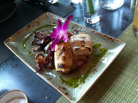 food_outliers-squid_main food_outliers-squid_main