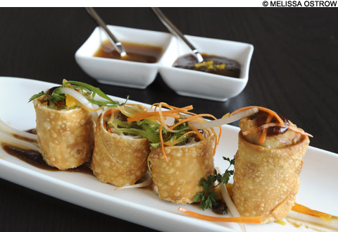 red lantern chinese red lantern chinese