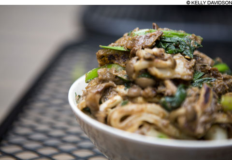 main_mushroom_480