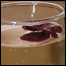 060609_list_sipping.jpg