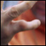 07504_catch_list