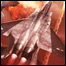 060512_list_ace.jpg