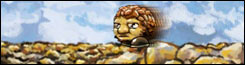 080829_braid_lsot