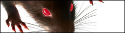0910_rat_slot